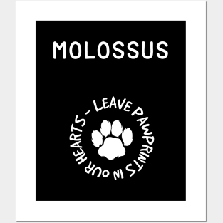 Molossus Owner Gift Posters and Art